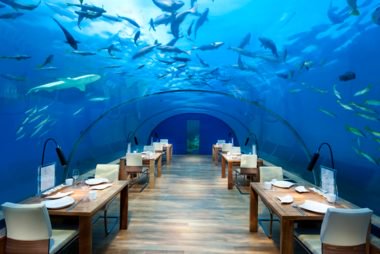01_Restaurants-with-the-Weirdest-Dining-Experiences-in-the-World_ithaa-congradhotels-380x254