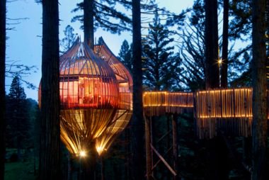 04_Restaurants-with-the-Weirdest-Dining-Experiences-in-the-World_redwoodstreehouse-380x254.jpg